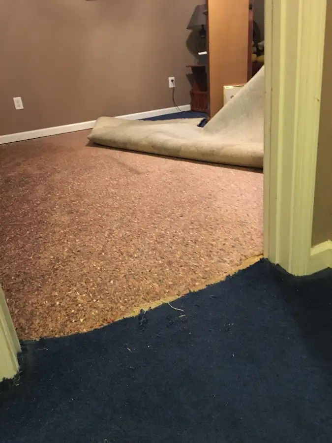 Carpet pad removal revealing water damage during Drying & Dehumidification in Redlands